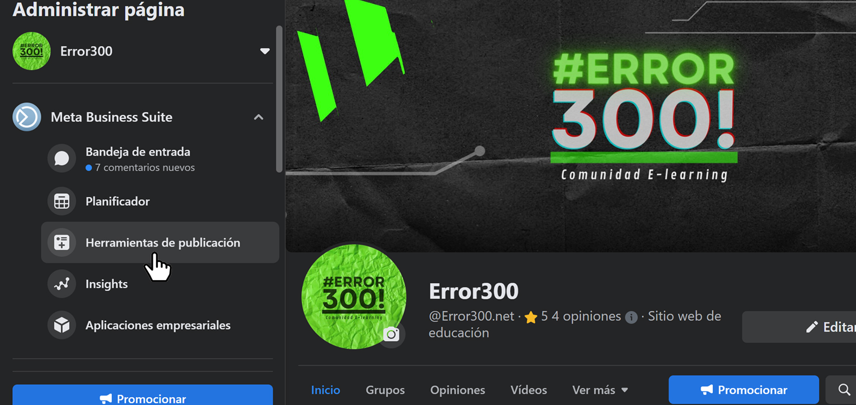 error300
